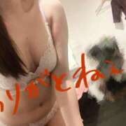 ヒメ日記 2026/09/27 04:36 投稿 乙目　ちあき OLセレクション宇都宮店