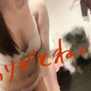 ヒメ日記 2026/09/27 04:44 投稿 乙目　ちあき OLセレクション宇都宮店