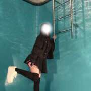 ヒメ日記 2026/02/17 00:01 投稿 とら 極楽城(ゴクラクジョウ)