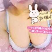 ヒメ日記 2026/04/04 21:17 投稿 らら 福島郡山ちゃんこ