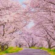 ヒメ日記 2026/04/09 23:57 投稿 らら 福島郡山ちゃんこ