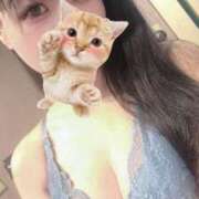 ヒメ日記 2026/02/18 17:02 投稿 りんな 多恋人倶楽部（山口）