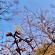 ヒメ日記 2026/02/20 17:06 投稿 オミナ 広島痴女性感フェチ倶楽部