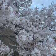 ヒメ日記 2026/04/05 18:30 投稿 潮⭕️き重度のドM『メロちゃん』 GOOD-グッド-