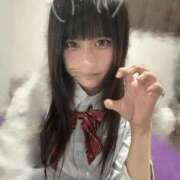 うさぎ うさびーむ♥ プレミアム(福原)