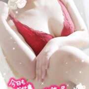 ヒメ日記 2026/02/17 18:17 投稿 石井ともか 熟女パラダイス甲府店（カサブランカグループ）