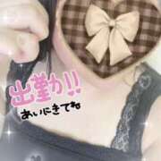 ヒメ日記 2026/02/23 10:47 投稿 石井ともか 熟女パラダイス甲府店（カサブランカグループ）