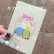 ヒメ日記 2026/03/13 20:47 投稿 白鳥れいか Platinum Legend(プラチナムレジェンド)