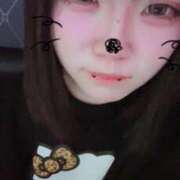 ノア 出勤でしゅ♡ ちゃんこ本厚木店