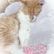 ゆの めっちゃ可愛い♡ 西川口ぷよステーション