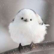 ヒメ日記 2026/03/21 23:15 投稿 めぐみ【Ｒ】 乱密(ランミツ)