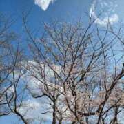 ヒメ日記 2026/03/28 15:05 投稿 めぐみ【Ｒ】 乱密(ランミツ)