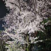 ヒメ日記 2026/04/05 14:25 投稿 めぐみ【Ｒ】 乱密(ランミツ)