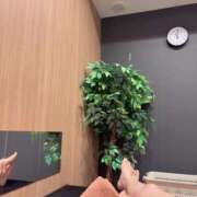 ヒメ日記 2026/03/03 11:13 投稿 七瀬おとは ミセスの癒しエステ