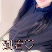 橘 ひな 到着?? こあくまな熟女たち 京都店(KOAKUMAグループ)