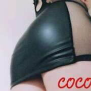 ヒメ日記 2026/03/08 12:11 投稿 ここあ MOTHER(旧ママとおねえさん)