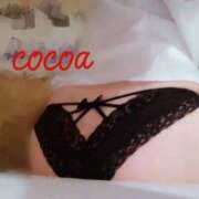 ヒメ日記 2026/03/21 22:01 投稿 ここあ MOTHER(旧ママとおねえさん)