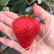 ヒメ日記 2026/03/25 08:59 投稿 みほ 奥様プリモ