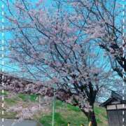 ヒメ日記 2026/03/29 11:29 投稿 みほ 奥様プリモ