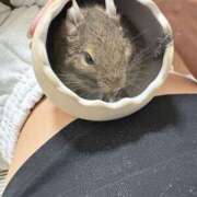 ヒメ日記 2026/03/07 07:27 投稿 つくし ビギナーズ神戸