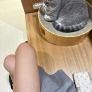 つくし 𓏲𓎨はつ！ ビギナーズ神戸