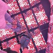 ヒメ日記 2026/08/16 08:49 投稿 つくし ビギナーズ神戸