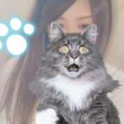 ヒメ日記 2026/03/01 16:40 投稿 桐生 あかり 30代40代50代と遊ぶなら博多人妻専科24時