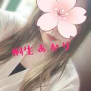 ヒメ日記 2026/04/06 07:04 投稿 桐生 あかり 30代40代50代と遊ぶなら博多人妻専科24時