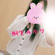 ヒメ日記 2026/04/09 07:05 投稿 桐生 あかり 30代40代50代と遊ぶなら博多人妻専科24時