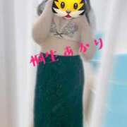 ヒメ日記 2026/04/10 14:43 投稿 桐生 あかり 30代40代50代と遊ぶなら博多人妻専科24時