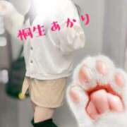 ヒメ日記 2026/04/13 19:55 投稿 桐生 あかり 30代40代50代と遊ぶなら博多人妻専科24時