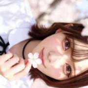 ヒメ日記 2026/05/02 20:48 投稿 ふたば High Quality デリバリーヘルス Platinum Club