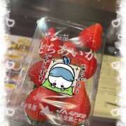 ヒメ日記 2026/03/20 15:49 投稿 みつり 姫コレクション