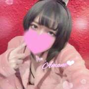 ヒメ日記 2026/02/22 15:45 投稿 アマネ バニーコレクション千葉栄町店