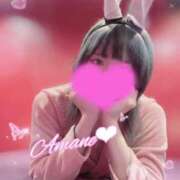 ヒメ日記 2026/02/23 00:56 投稿 アマネ バニーコレクション千葉栄町店