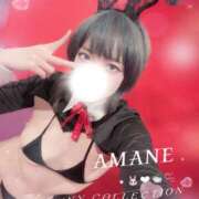 ヒメ日記 2026/02/25 08:53 投稿 アマネ バニーコレクション千葉栄町店