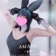 ヒメ日記 2026/02/26 10:10 投稿 アマネ バニーコレクション千葉栄町店