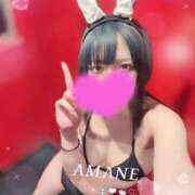 ヒメ日記 2026/03/21 15:23 投稿 アマネ バニーコレクション千葉栄町店