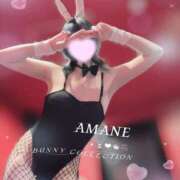 ヒメ日記 2026/03/23 02:57 投稿 アマネ バニーコレクション千葉栄町店