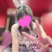 ヒメ日記 2026/03/23 08:49 投稿 アマネ バニーコレクション千葉栄町店