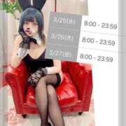 ヒメ日記 2026/03/24 22:01 投稿 アマネ バニーコレクション千葉栄町店