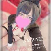 アマネ また会えるよー❣️🐰 バニーコレクション千葉栄町店