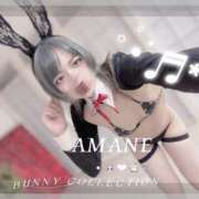 ヒメ日記 2026/04/06 15:30 投稿 アマネ バニーコレクション千葉栄町店