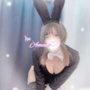 ヒメ日記 2026/04/07 08:01 投稿 アマネ バニーコレクション千葉栄町店