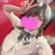 ヒメ日記 2026/04/19 22:05 投稿 アマネ バニーコレクション千葉栄町店