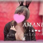 ヒメ日記 2026/04/20 07:36 投稿 アマネ バニーコレクション千葉栄町店