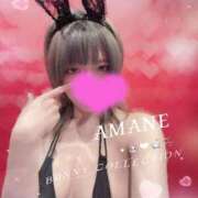 ヒメ日記 2026/04/20 14:32 投稿 アマネ バニーコレクション千葉栄町店