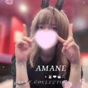 ヒメ日記 2026/05/12 01:49 投稿 アマネ バニーコレクション千葉栄町店