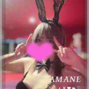 アマネ 明日🐰💕 バニーコレクション千葉栄町店