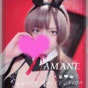 アマネ 👯‍♀️今日会える❤️‍🔥 バニーコレクション千葉栄町店